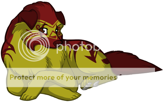 User Image